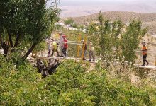 تصویر از برگزاری اردو در مزرعه خورشید